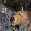 Tyler Gentry - @TGentry21 - Twitter