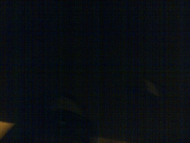 aadme1's profile picture. {ربي اغفر لي ذنوبي }