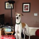 David Nardone - @DPSfacilities - Twitter