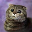 Chloe Brewer - @zdjqk - Twitter