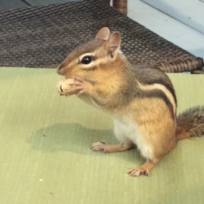 CappaKristi's profile picture. 