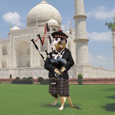 ResearchText's profile picture. 