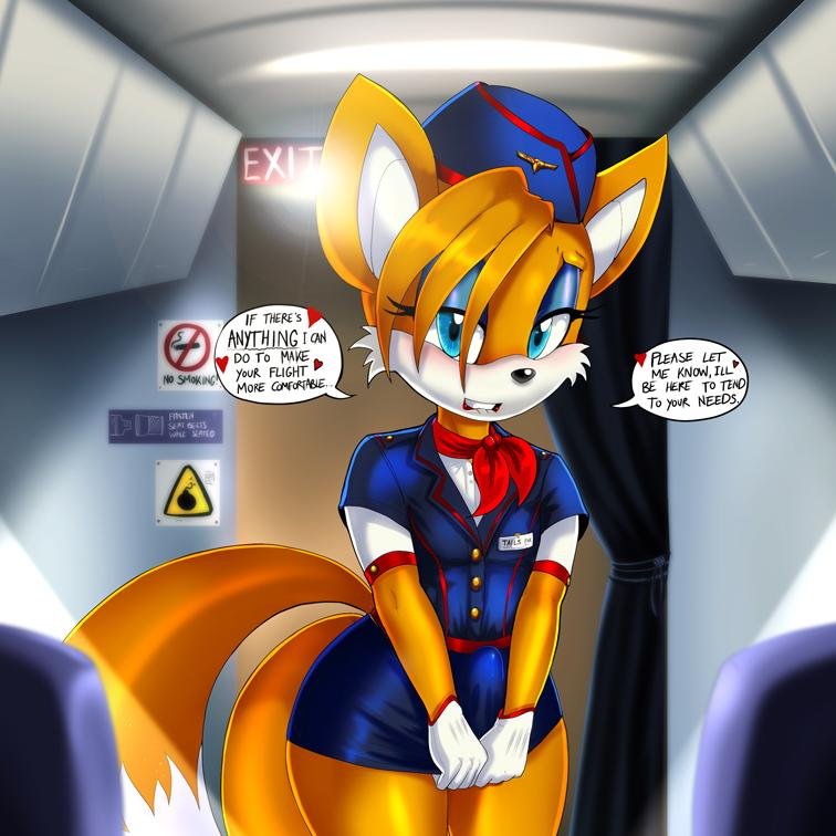 H-Hi welcome to tornado airlines I am Miles Prower I will be servicing today~ @SoChett is my lady~~