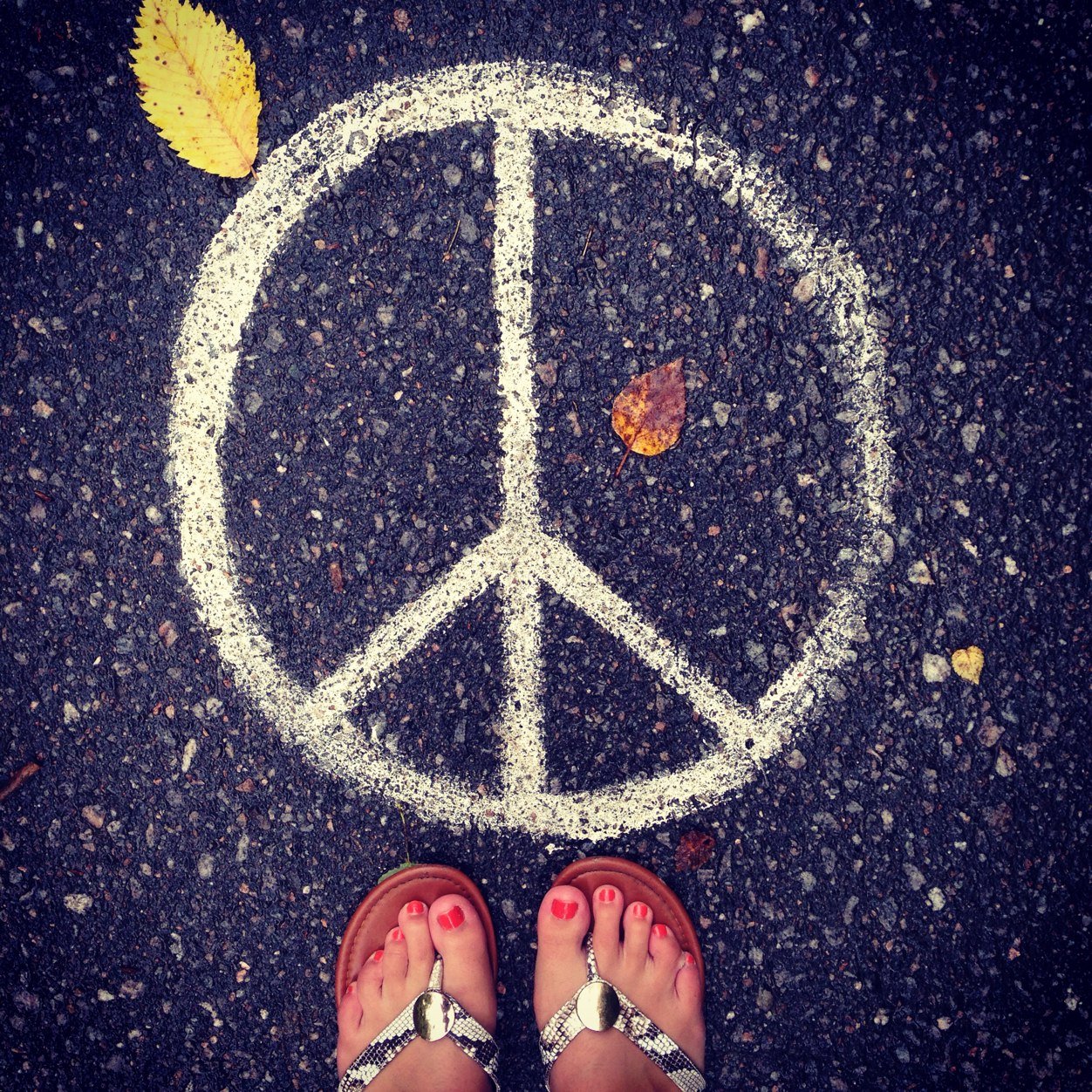 stephanieraex3's profile picture. 