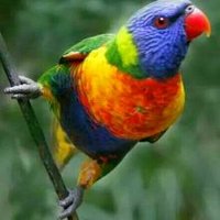 مصرية وبس (@ghadaa211) 's Twitter Profile