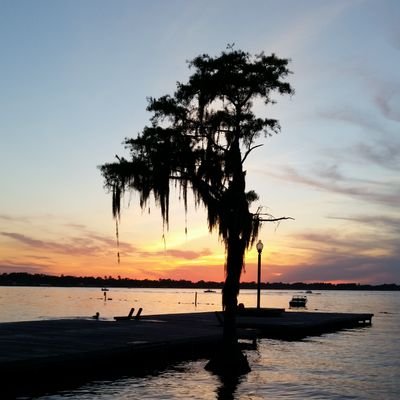 getthenet1's profile picture. 