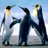 Profile Picture of Byron Peter (@@ByronPeter1) on Twitter
