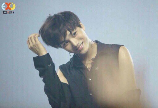 Kim jongin's pard || Known as ojav || Can be multichara || Hiatus.