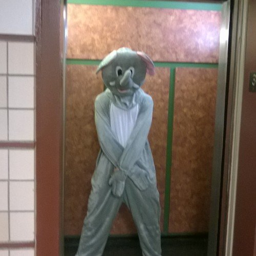 Fucking with elevators since '14
