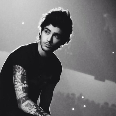 free follow. follow my main account please @bashfullyharry