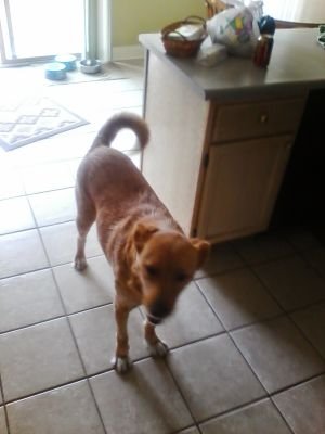 heacox_scott's profile picture. 