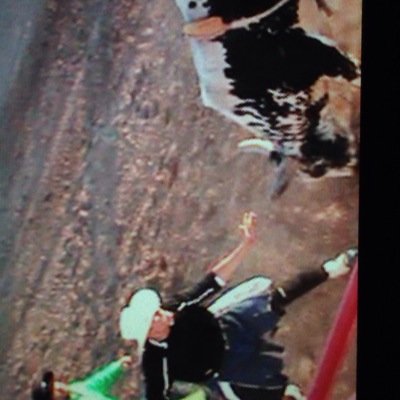 bullfighterrock's profile picture. I play baseball and also want to become a bullfighter. My dream one day is to become a bullfighter in the PBR.