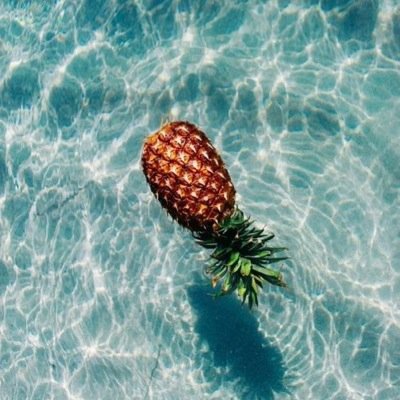 follow @lsvdcijejxh