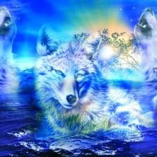tjwolfe616 Profile Picture