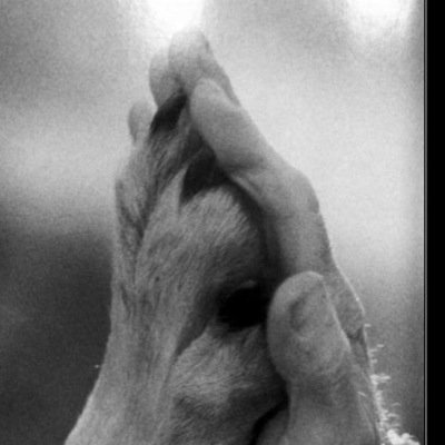 Rggkjbdhvghdhf1's profile picture. 