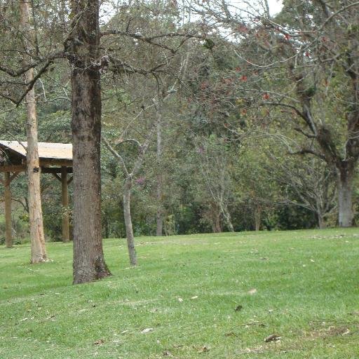 vicmega5's profile picture. 