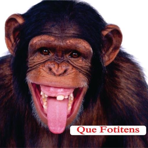 Subí tus fotos graciosas...locas...raras...de caídas y demás...para reírnos sin parar.