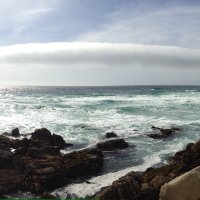 Tim Radack (@timradack) 's Twitter Profile