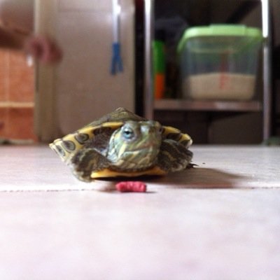 DopeeeNation's profile picture. 