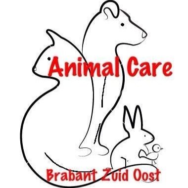 Het veilig van de straat vangen van zwerfhonden in Noord Brabant. Verhuur vangkooi, bemiddeling verdoving op afstand enz. Dierenwelzijn in het algemeen.