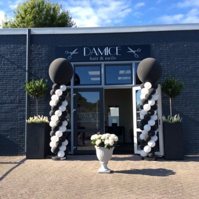 damice_hair's profile picture. Knippen - Visagie - Extensions - Kleurbehandelingen - Nagelstyling