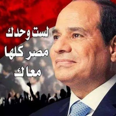 المصرى شامخ المصرى