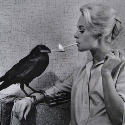 1cherchemidi's profile picture. 