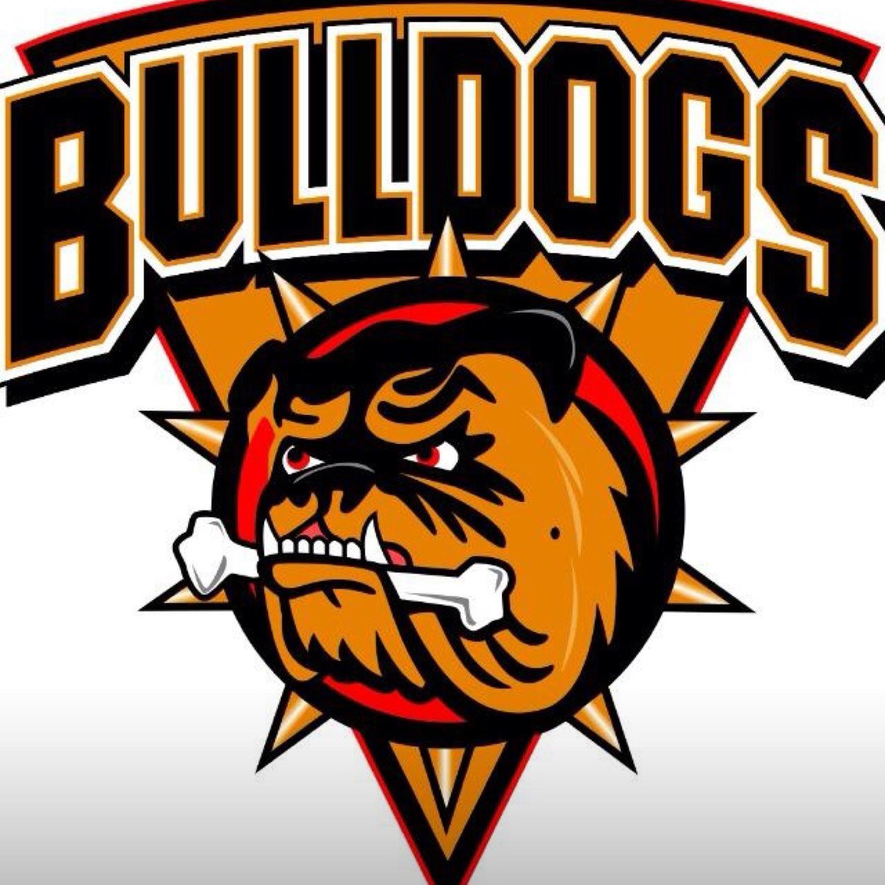 The official Twitter account for the Bradford Bulldogs (NIHL Laidler Conference) 2015/16 season
