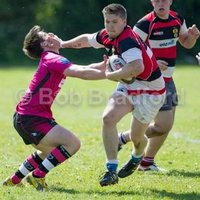 matthew king (@matthewking_2) 's Twitter Profile