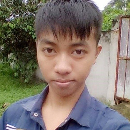 perry_phan's profile picture. 