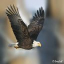 G Wayne Woody - @gwaynewoody - Twitter