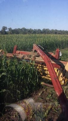 1st Generation Farmer