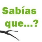Curiosidades como ninguna otra