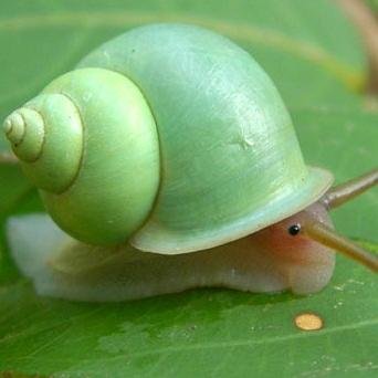 super_ralou's profile picture. #Anticalcaire