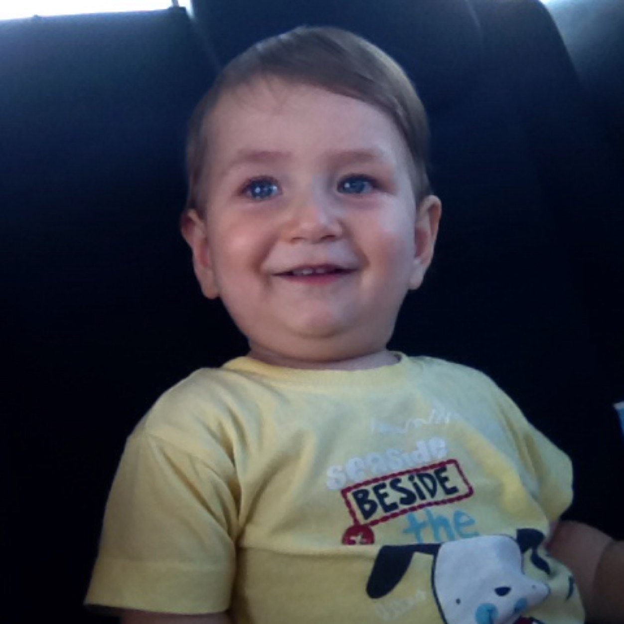 ArmaganDemirel's profile picture. 