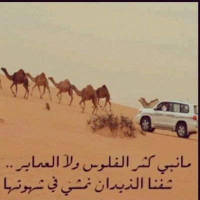 9accet's profile picture. 