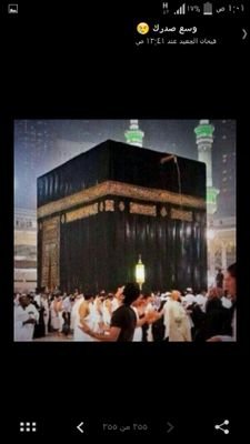 hm15eed Profile Picture