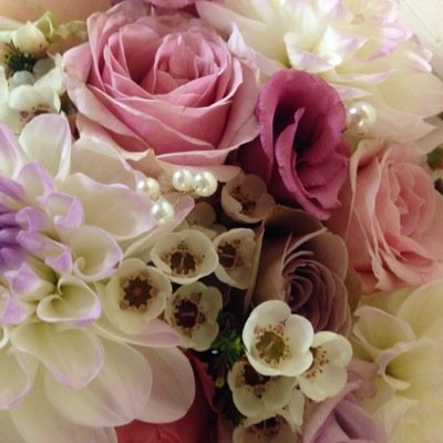 Angel Like Flowers