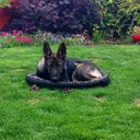 Grace Wilkes - @_grrrraaacce - Twitter