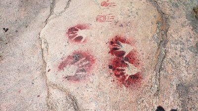 welffilm's profile picture. Independent Film Production: Claudia Lee @myblueleg and Pierpaolo Inga @popwopy