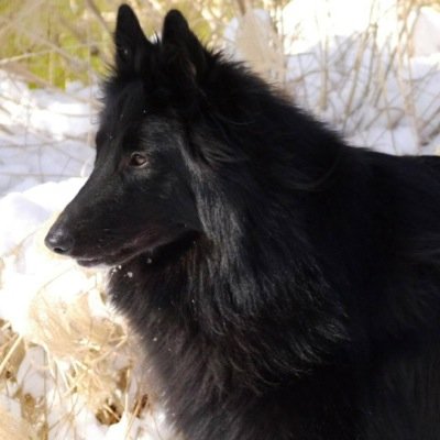 belg_lvr's profile picture. 