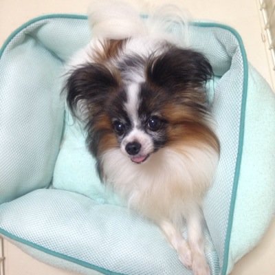 Jortenon On Twitter パズドラ ゴッドフェス後半 はぁ これなら 思い切って合成に使えるって考えよう パズドラ ガチャ ゴッドフェス シーサーペント Https T Co Por7fpnife
