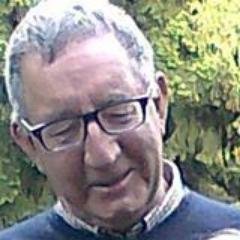 Profesor de la Historia. Sigo escribiendo.