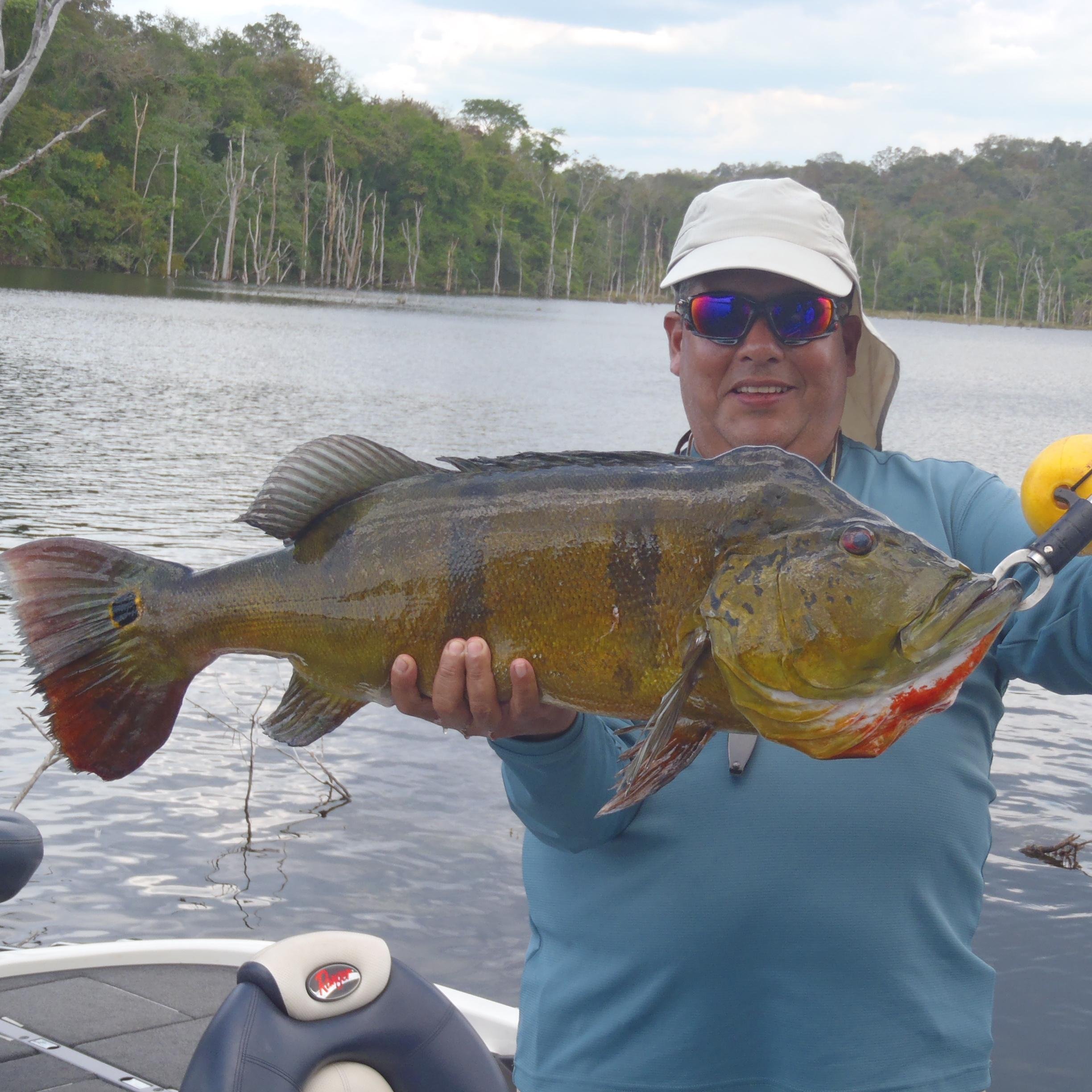 Medico Veterinario, Aficionado a la Pesca Deportiva (especialmente de Pavon)