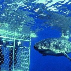 Patrick02393089's profile picture. never apologize