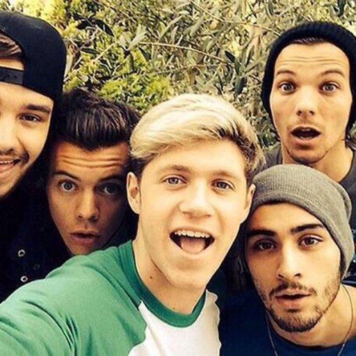 Apaixonada pelo One Direction