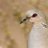 mmmg19643's profile image