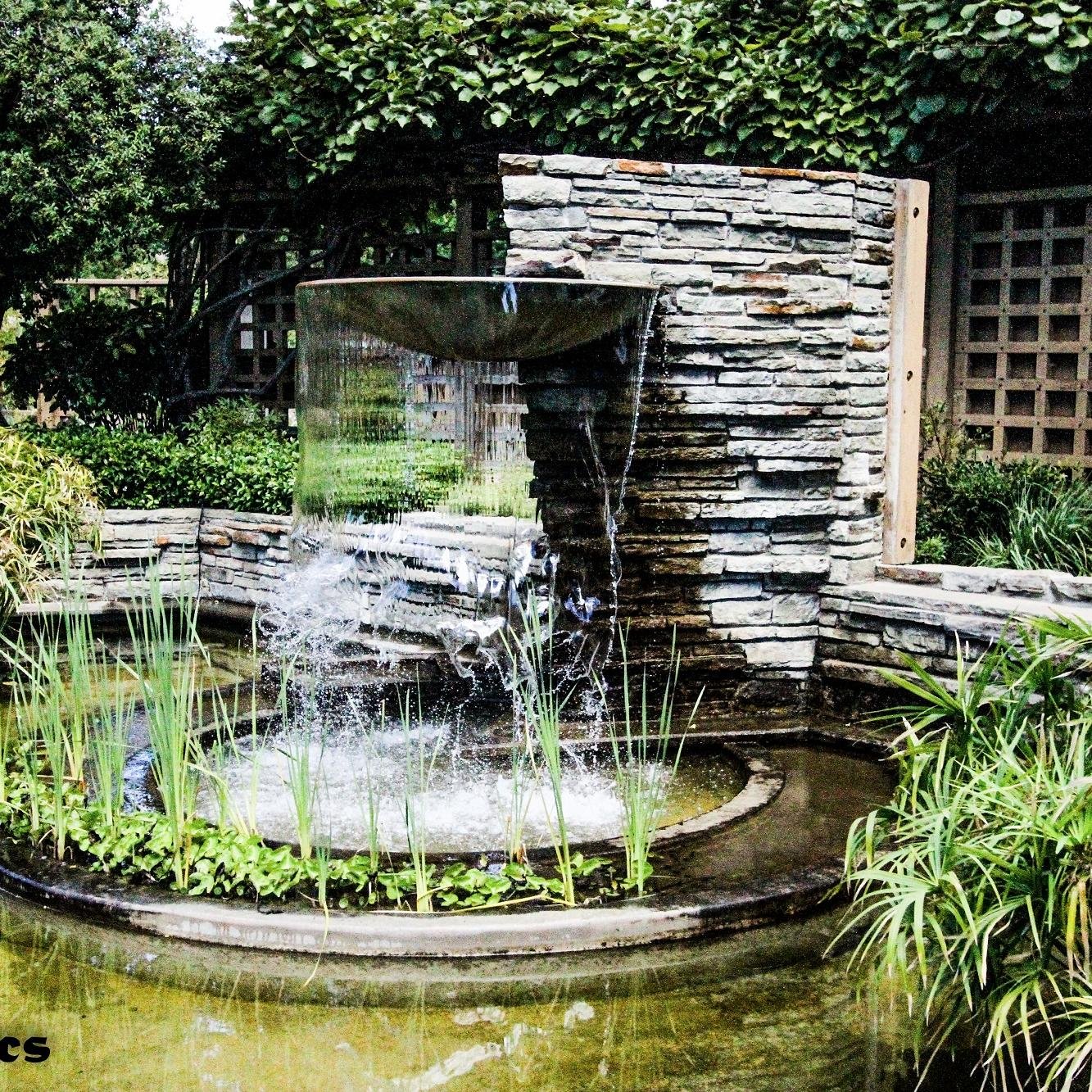 PositiveSonoma's profile picture. 