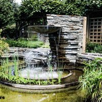 Positively Sonoma (@positivesonoma) 's Twitter Profile Photo