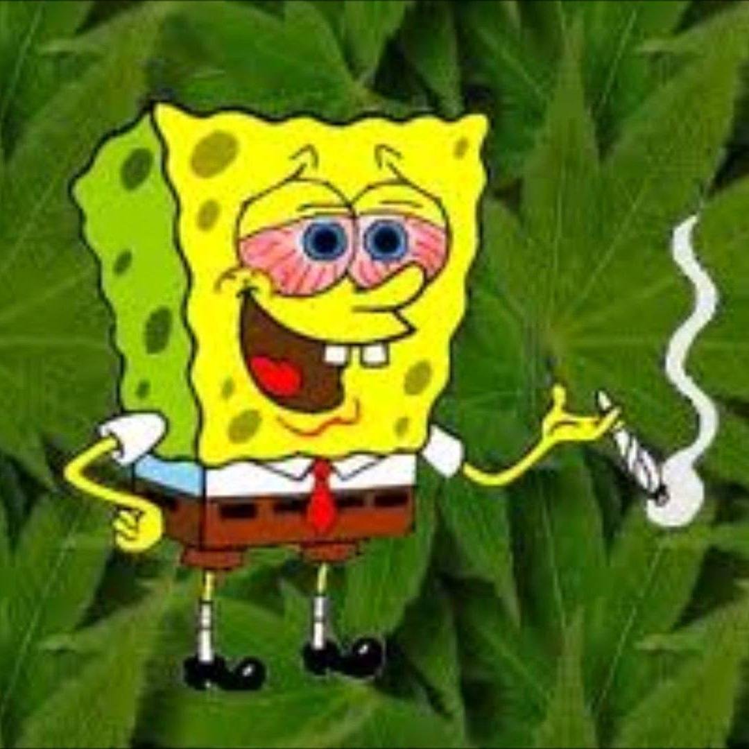 Soldado_BOB's profile picture. SMOKE WEED EVERY DAY
